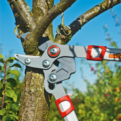 Sekator ogrodniczy kowadełkowy POWER CUT Basic Plus RS 650